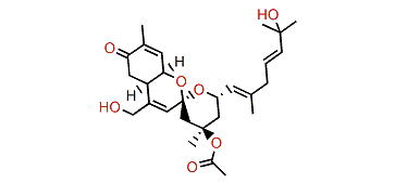 Alotaketal E